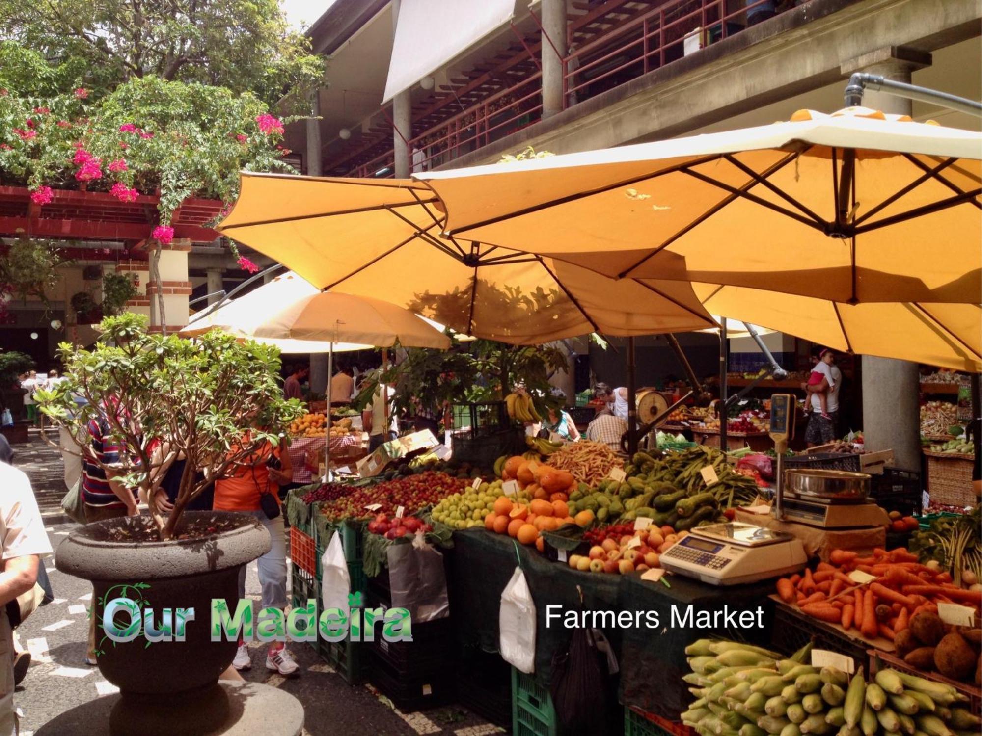 شقة Ourmadeira - Heart Of Old Town II فونشال المظهر الخارجي الصورة