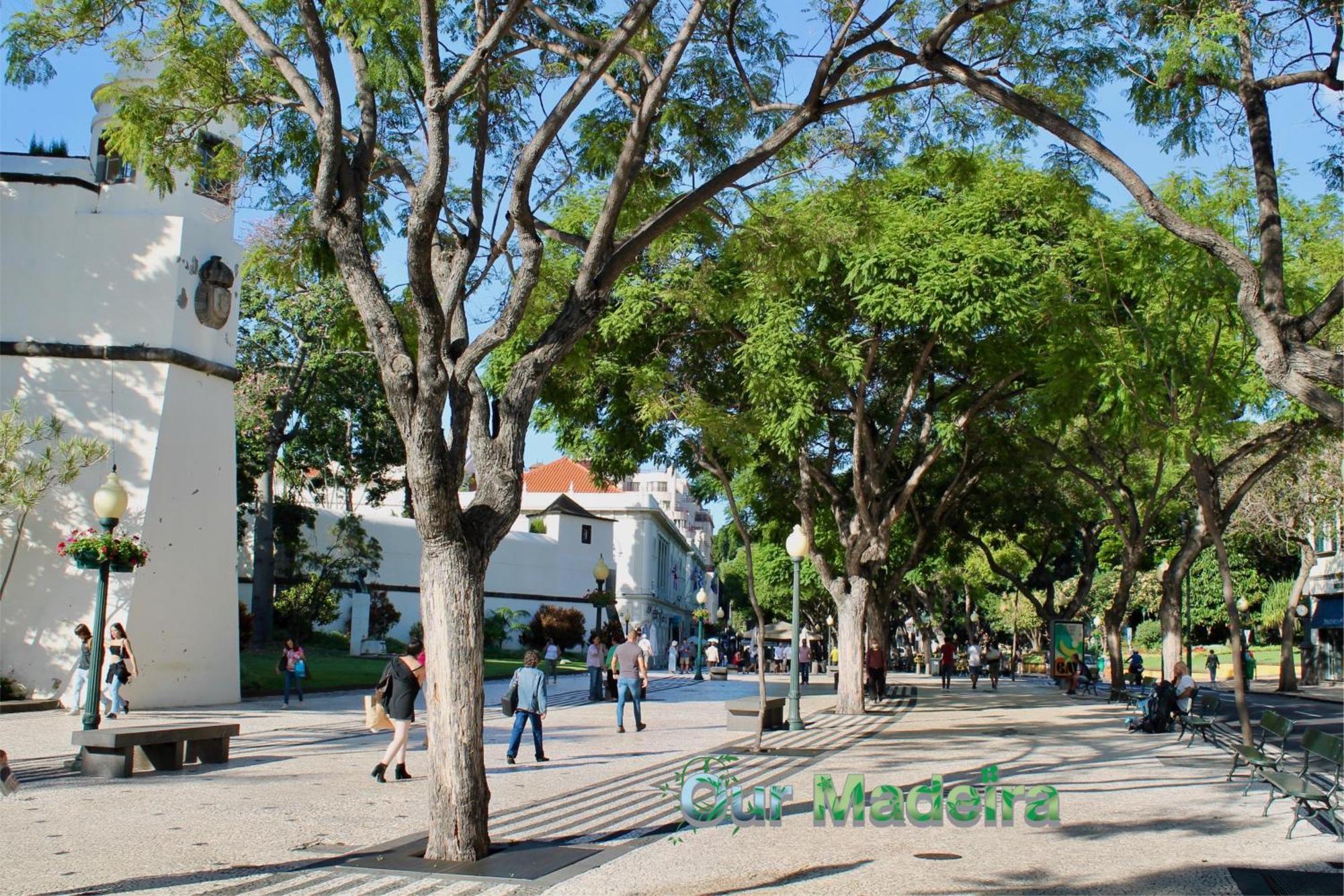 شقة Ourmadeira - Heart Of Old Town II فونشال المظهر الخارجي الصورة
