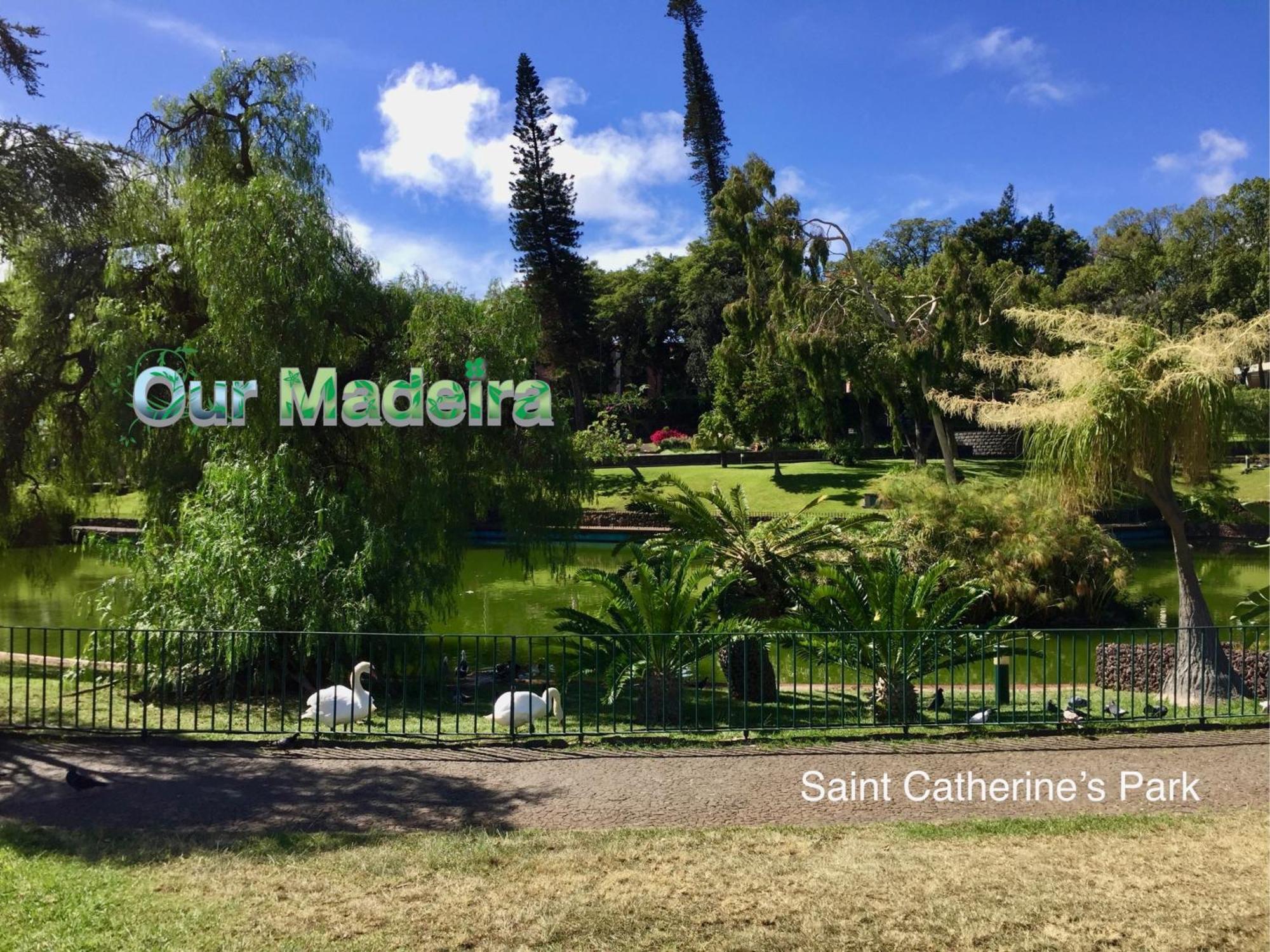 شقة Ourmadeira - Heart Of Old Town II فونشال المظهر الخارجي الصورة